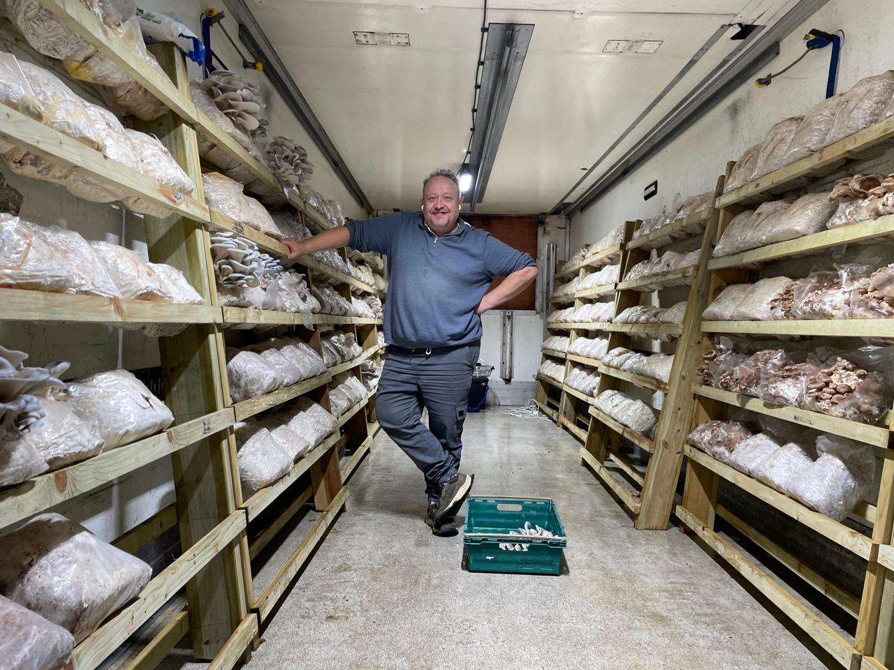 Chiltern Hills Mushrooms — a flush in the growing rooms